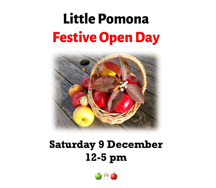 Join us at our Festive Open Day!