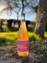 Load image into Gallery viewer, Disco Nouveau 2024