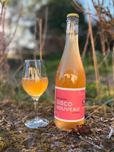 Load image into Gallery viewer, Disco Nouveau 2024