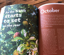 Load image into Gallery viewer, A Year in Beer - Jonny Garrett