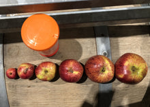 Load image into Gallery viewer, Cider Club 1 Year Gift Membership