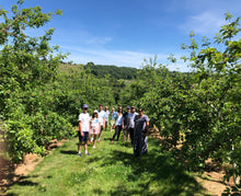 Load image into Gallery viewer, 2026 Tour & Tasting Vouchers