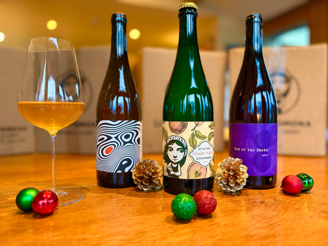 Cider For Natural Wine Lovers Trio '25 (free shipping)