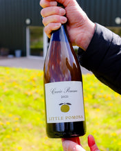 Load image into Gallery viewer, Cuvée Pomme 2021, 9.9%

